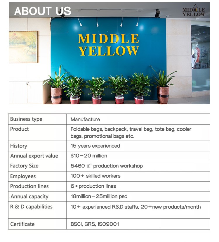 company introduction