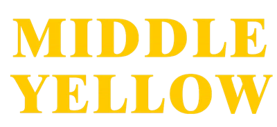 زیامین مڈل پیلا انڈسٹری اینڈ ٹریڈ کمپنی ، لمیٹڈ